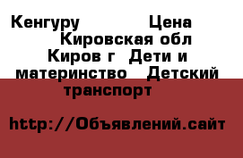 Кенгуру “JOY“ . › Цена ­ 1 000 - Кировская обл., Киров г. Дети и материнство » Детский транспорт   
